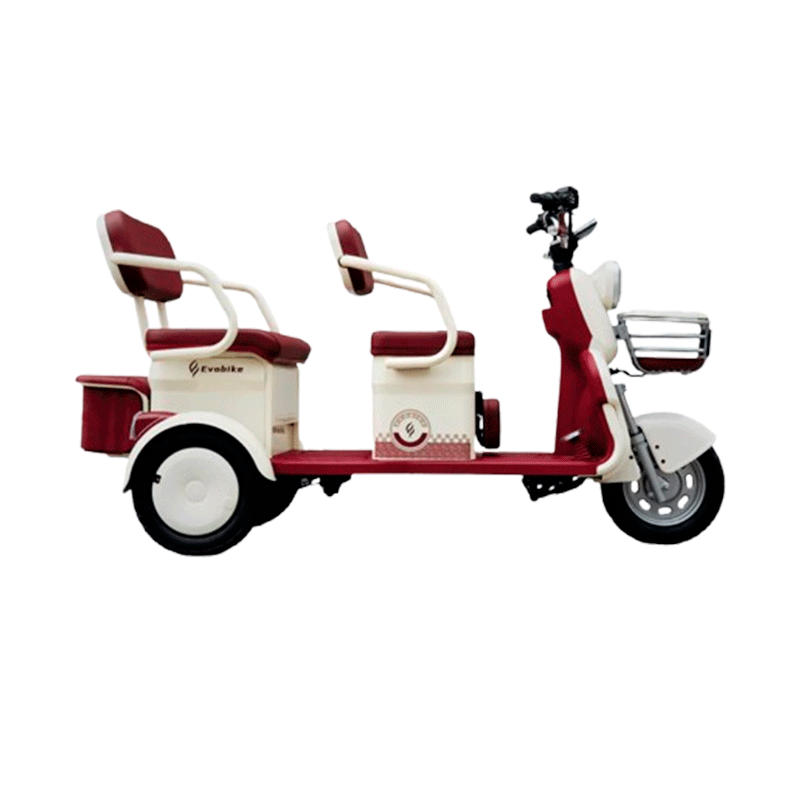 EVOBIKE FAMILY Q PLUS